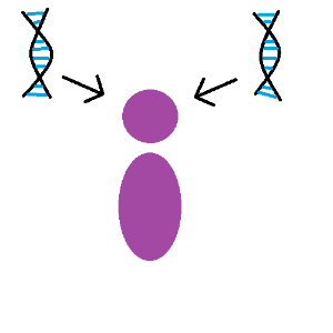 two separate DNA strands with arrows pointing towards a purple abstract person's head